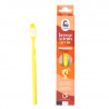 Soft replaceable-head toothbrush